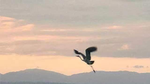 山水之家 Διαμέρισμα Ότσου Εξωτερικό φωτογραφία